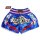 Muay Thai Shorts ROSPORT " Professional " Short Hose Thaiboxhose blau silber rot