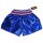 Muay Thai Shorts ROSPORT " Professional " Short Hose Thaiboxhose blau silber rot