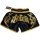 Muay Thai Shorts ROSPORT " Professional " Short Hose Thaiboxhose schwarz gold