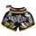 Muay Thai Shorts ROSPORT Professional Short Hose Thaiboxhose schwarz gold silber