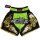 Muay Thai Shorts ROSPORT Professional Short Hose Thaibox   schwarz gold neongrün