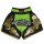 Muay Thai Shorts ROSPORT Professional Short Hose Thaibox   schwarz gold neongrün